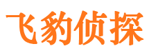 来安婚外情取证